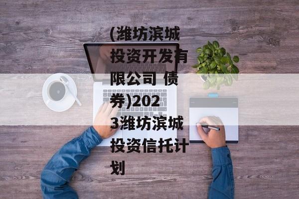 (潍坊滨城投资开发有限公司 债券)2023潍坊滨城投资信托计划