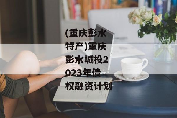 (重庆彭水特产)重庆彭水城投2023年债权融资计划