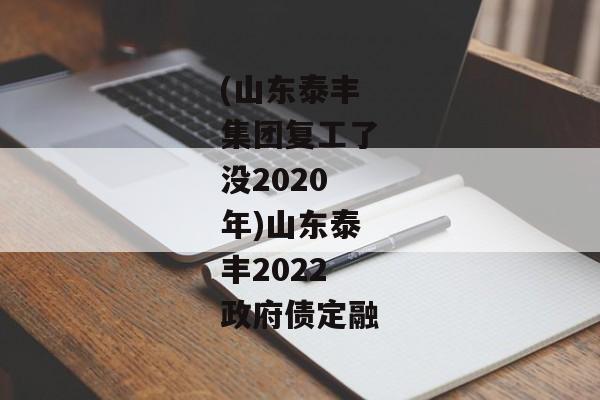 (山东泰丰集团复工了没2020年)山东泰丰2022政府债定融