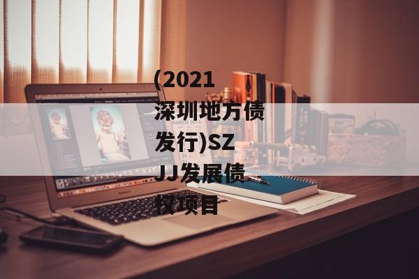 (2021深圳地方债发行)SZJJ发展债权项目
