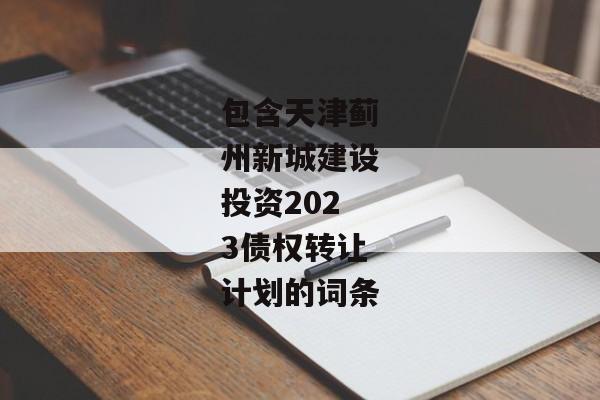 包含天津蓟州新城建设投资2023债权转让计划的词条