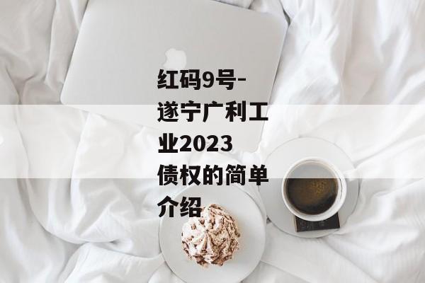 红码9号-遂宁广利工业2023债权的简单介绍
