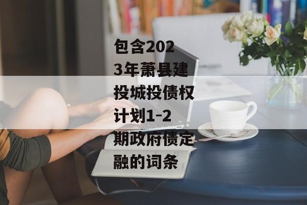 包含2023年萧县建投城投债权计划1-2期政府债定融的词条