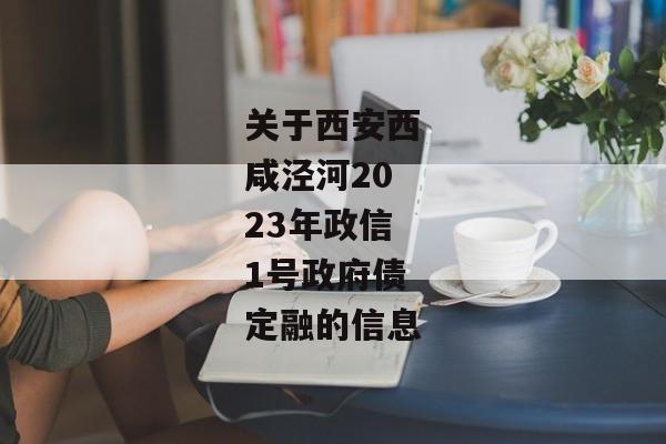 关于西安西咸泾河2023年政信1号政府债定融的信息