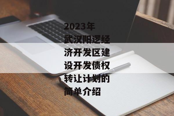 2023年武汉阳逻经济开发区建设开发债权转让计划的简单介绍