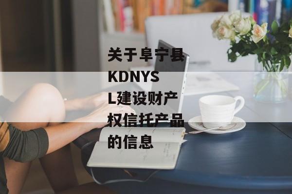 关于阜宁县KDNYSL建设财产权信托产品的信息