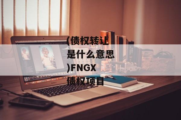 (债权转让是什么意思)FNGX债权项目