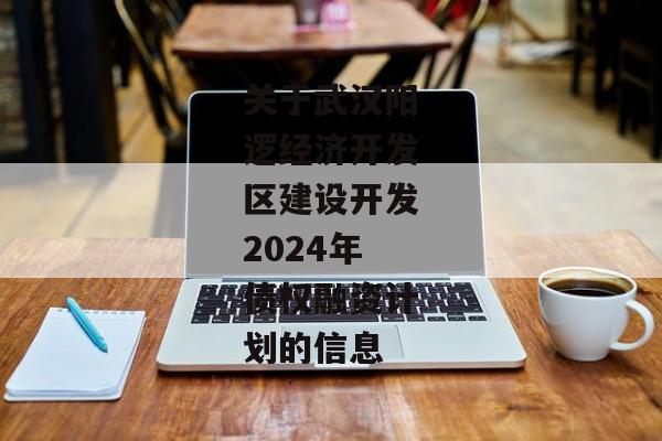 关于武汉阳逻经济开发区建设开发2024年债权融资计划的信息-第1张图片-信托定融返点网
