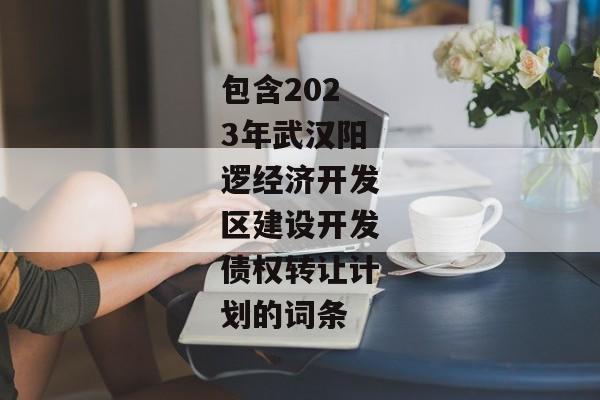 包含2023年武汉阳逻经济开发区建设开发债权转让计划的词条