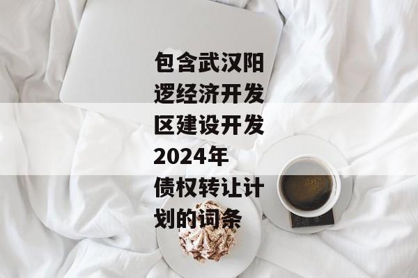 包含武汉阳逻经济开发区建设开发2024年债权转让计划的词条