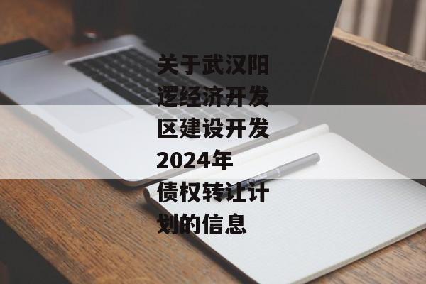 关于武汉阳逻经济开发区建设开发2024年债权转让计划的信息