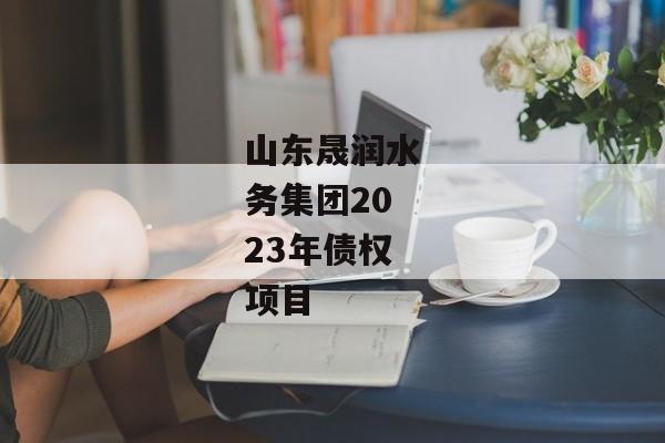 山东晟润水务集团2023年债权项目-第1张图片-信托定融返点网