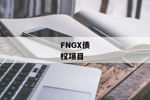 FNGX债权项目-第1张图片-信托定融返点网