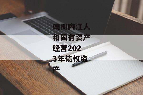 四川内江人和国有资产经营2023年债权资产-第1张图片-信托定融返点网