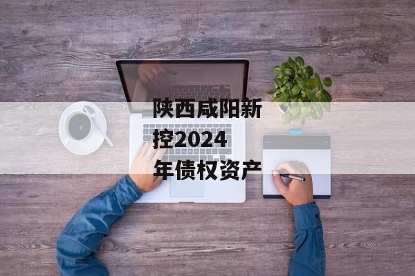 陕西咸阳新控2024年债权资产-第1张图片-信托定融返点网