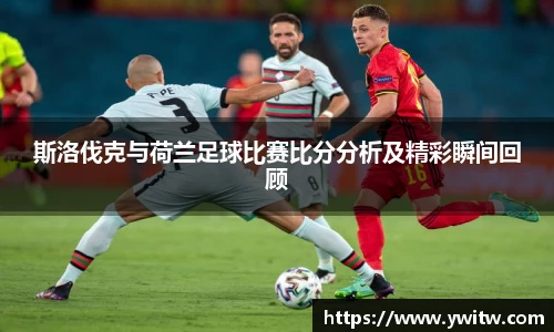 斯洛伐克与荷兰足球比赛比分分析及精彩瞬间回顾