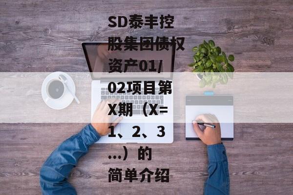 SD泰丰控股集团债权资产01/02项目第X期（X=1、2、3...）的简单介绍