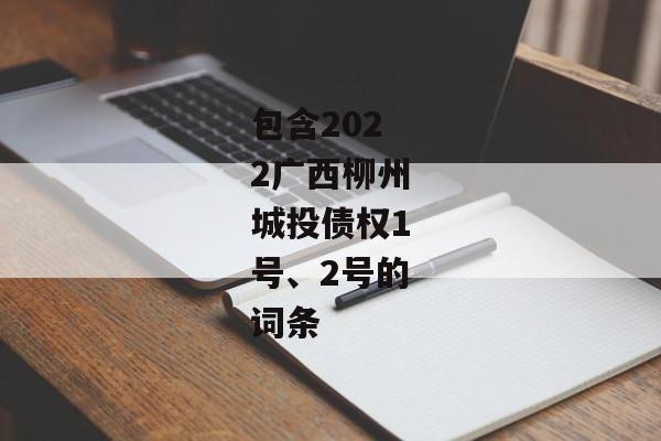 包含2022广西柳州城投债权1号、2号的词条