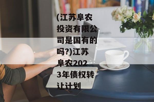 (江苏阜农投资有限公司是国有的吗?)江苏阜农2023年债权转让计划
