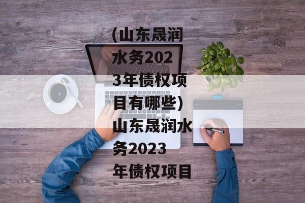 (山东晟润水务2023年债权项目有哪些)山东晟润水务2023年债权项目