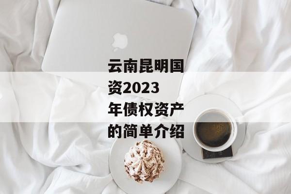 云南昆明国资2023年债权资产的简单介绍