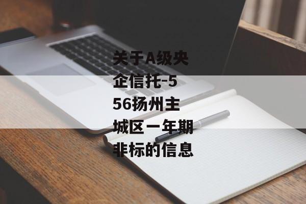 关于A级央企信托-556扬州主城区一年期非标的信息