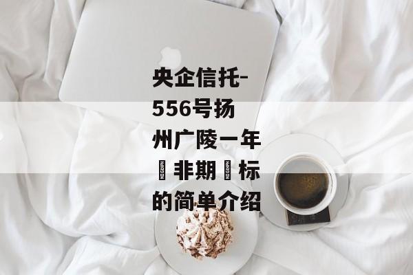 央企信托-556号扬州广陵一年‮非期‬标的简单介绍-第1张图片-信托定融返点网