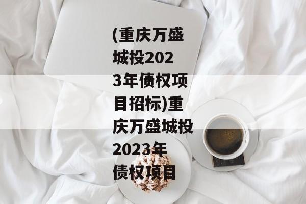 (重庆万盛城投2023年债权项目招标)重庆万盛城投2023年债权项目