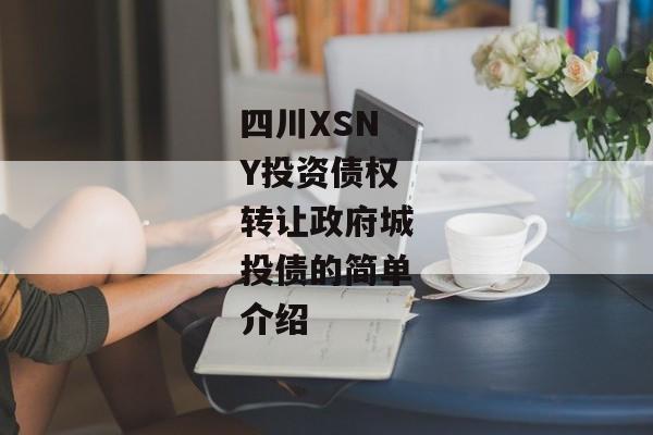 四川XSNY投资债权转让政府城投债的简单介绍-第1张图片-信托定融返点网