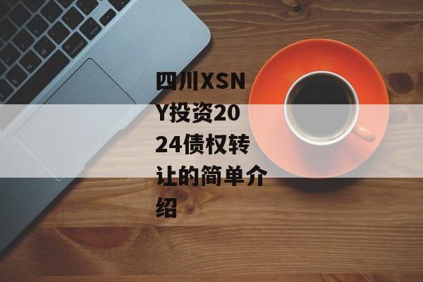四川XSNY投资2024债权转让的简单介绍