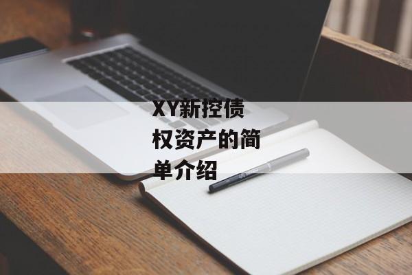 XY新控债权资产的简单介绍