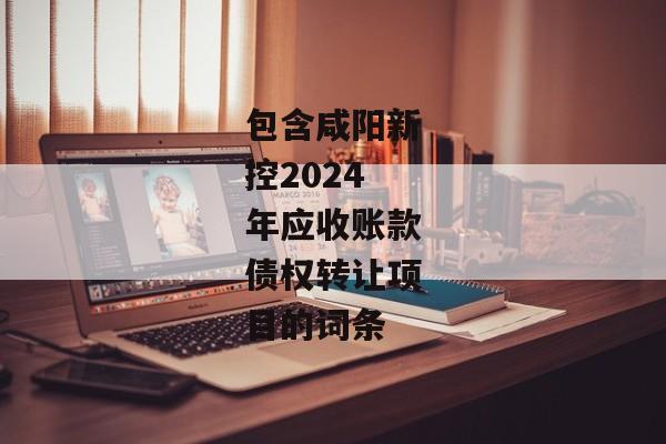 包含咸阳新控2024年应收账款债权转让项目的词条-第1张图片-信托定融返点网