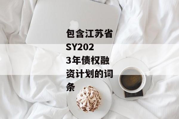 包含江苏省SY2023年债权融资计划的词条