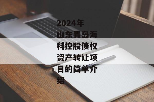 2024年山东青岛海科控股债权资产转让项目的简单介绍