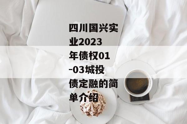 四川国兴实业2023年债权01-03城投债定融的简单介绍
