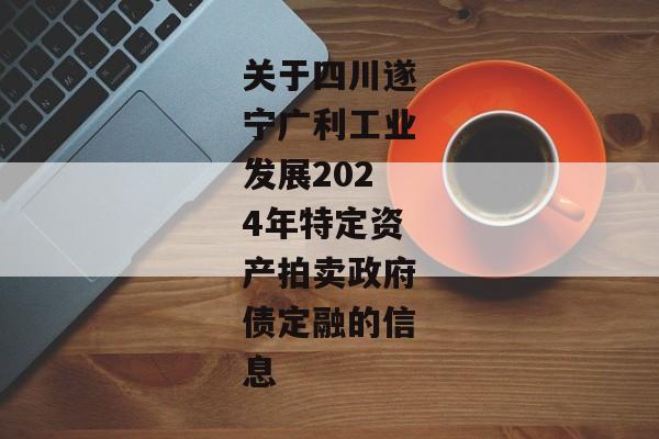 关于四川遂宁广利工业发展2024年特定资产拍卖政府债定融的信息