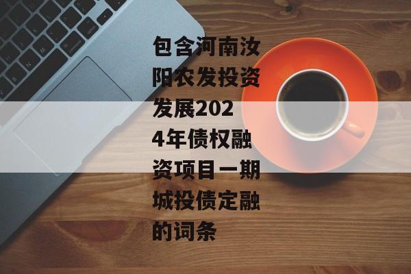 包含河南汝阳农发投资发展2024年债权融资项目一期城投债定融的词条