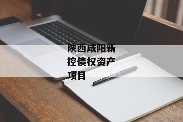 陕西咸阳新控债权资产项目-第1张图片-信托定融返点网